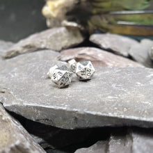 Load image into Gallery viewer, D20 earrings