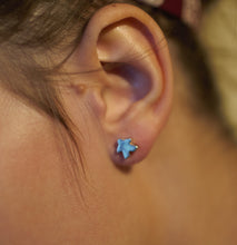 Load image into Gallery viewer, Solid Meeple stud earrings