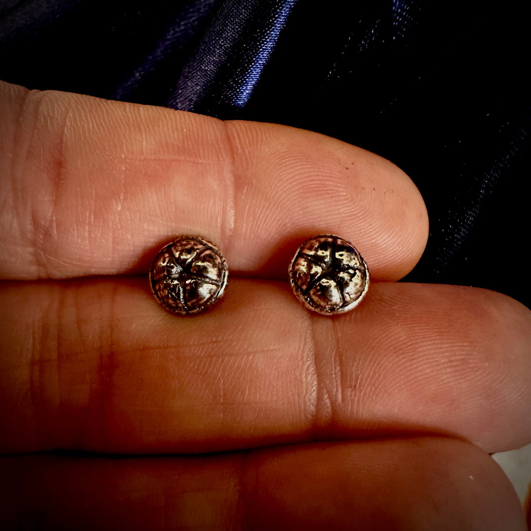 Small seed pod stud earrings