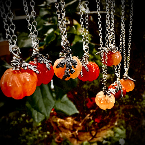 Mini gem kabocha- pumpkin