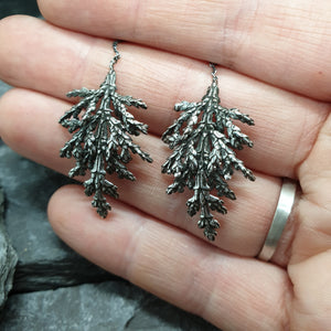 Conifer earrings