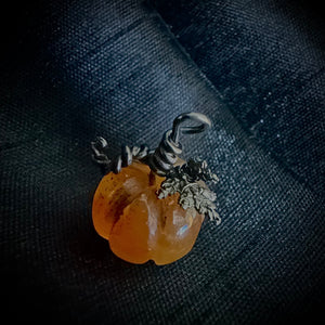 Mini gem kabocha- pumpkin