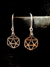 Load image into Gallery viewer, D&amp;D silhouette D20 earrings