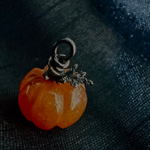 Mini gem kabocha- pumpkin